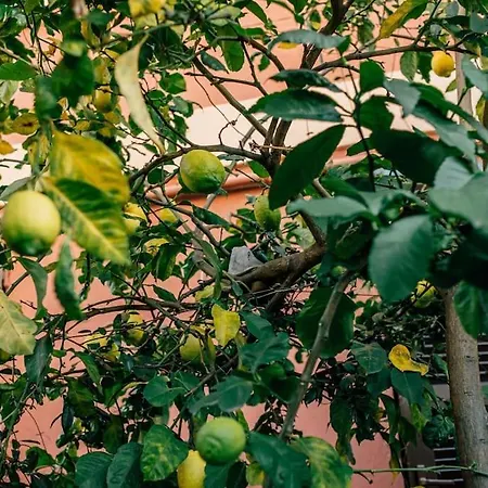 Angels House Boccadasse Gaslini Appartement
