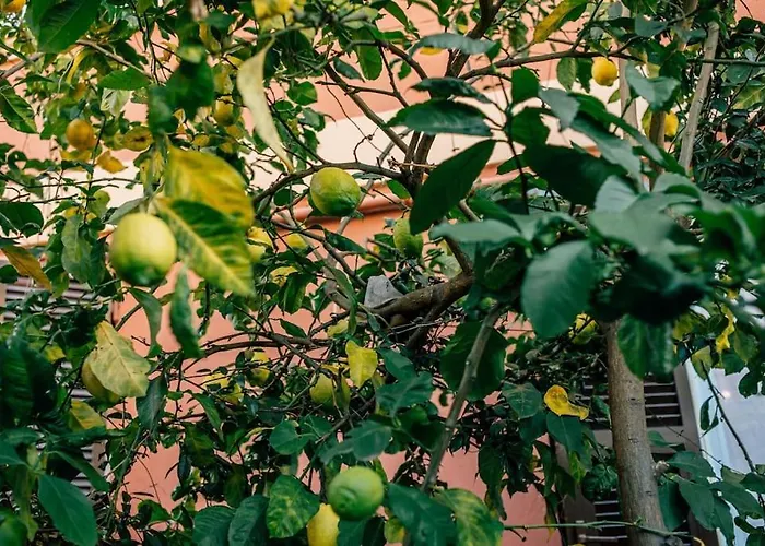 Angels House Boccadasse Gaslini Appartement